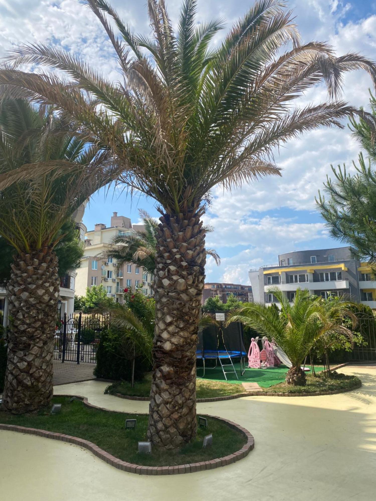 Private Cozy Studio Messembria B 504 Sunny Beach Exterior foto